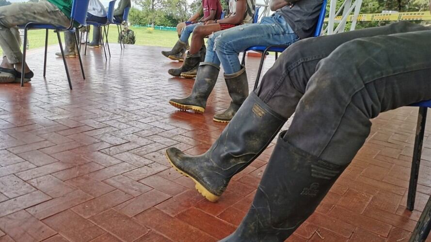 En las últimas horas se han desmovilizado 27 miembros del frente José María Becerra . Foto: Alto Comisionado para la Paz