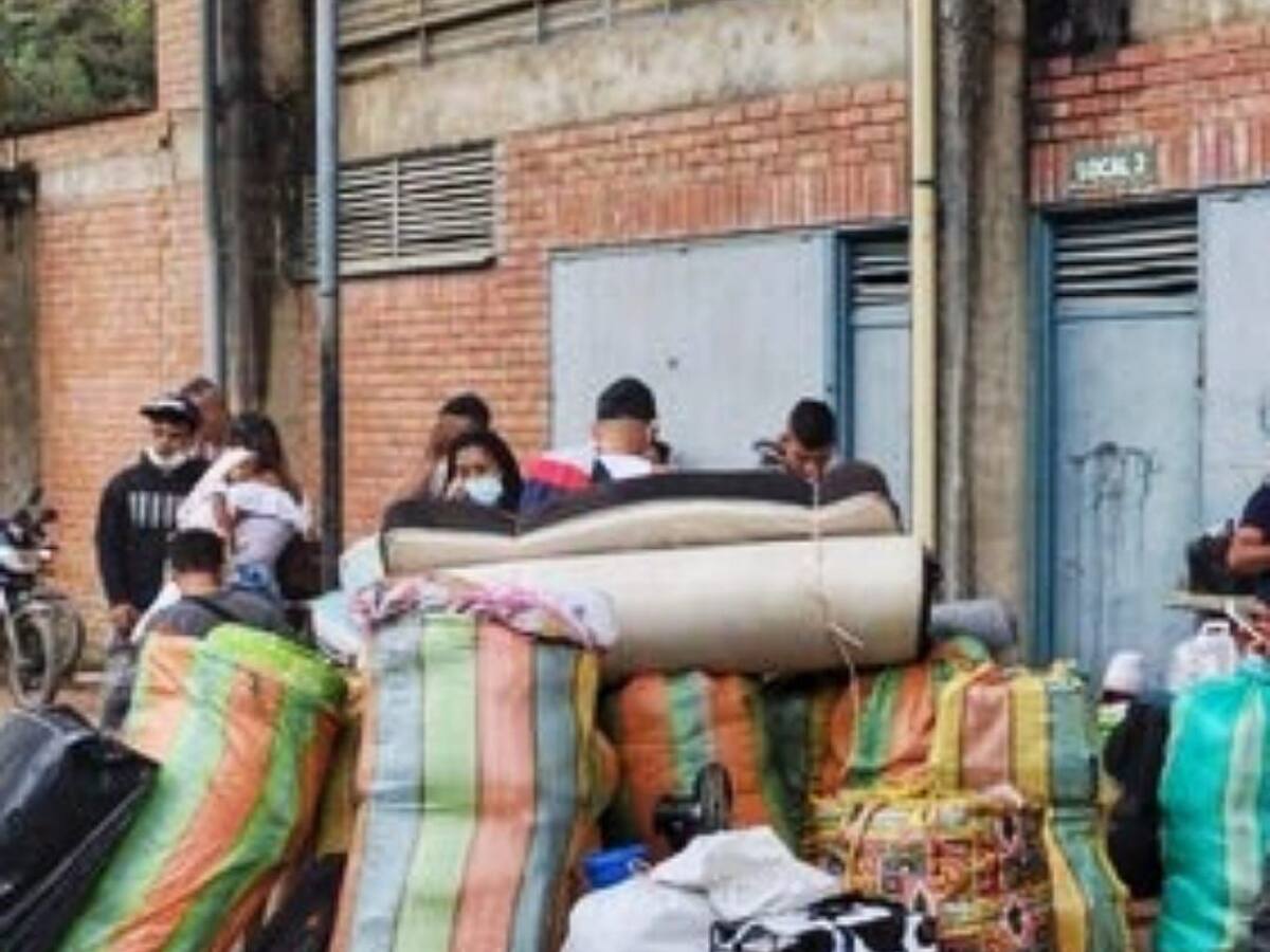 Más de 100 familias desplazadas en zona rural de Argelia, Cauca, por combates