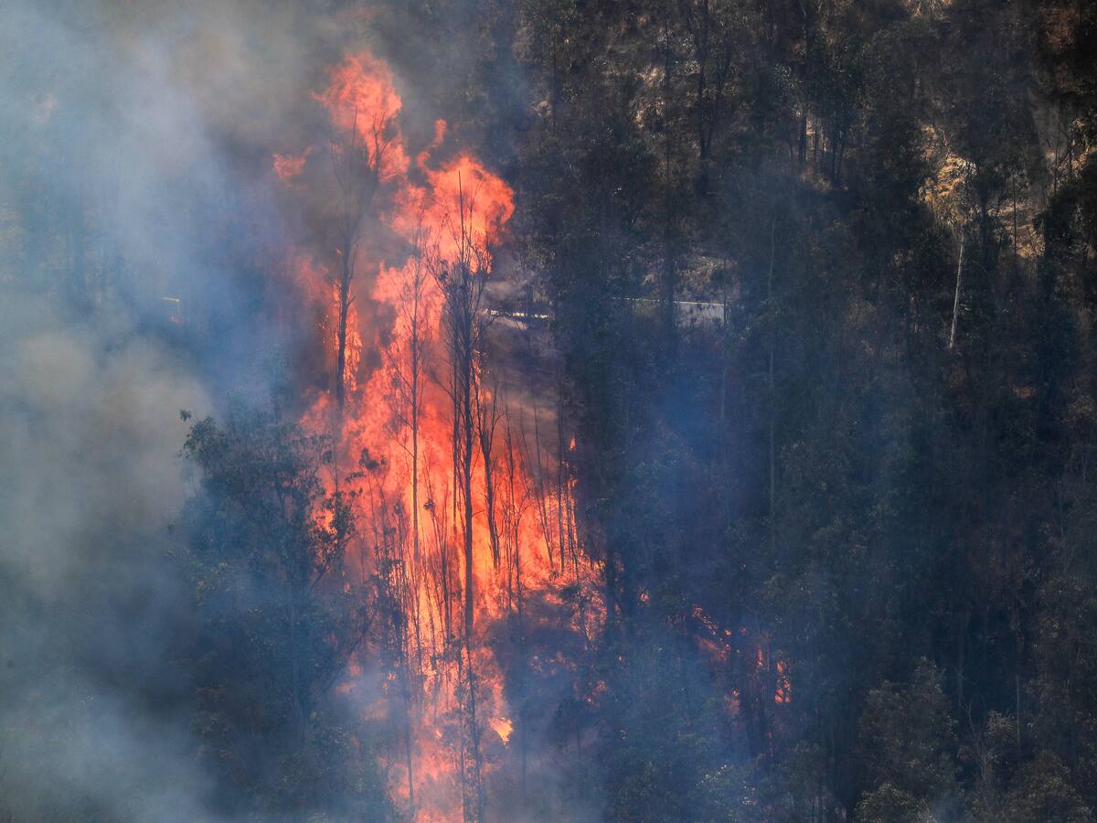 Encuentran bidones con sustancias inflamables cerca de zona del “mega” incendio en Quito