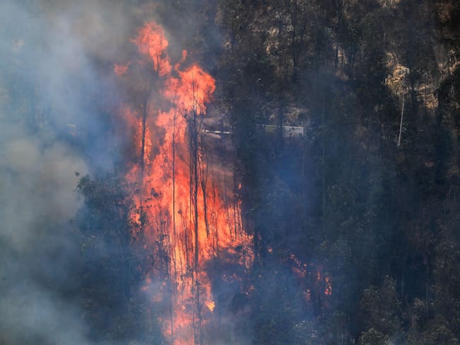 incendio forestal en Quito (Ecuador). FOTO: EFE/José Jácome