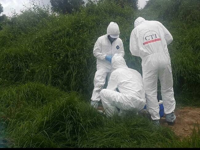 Las cuatro personas fueron asesinadas en los municipios de Almaguer y Mercaderes. Foto: Colprensa