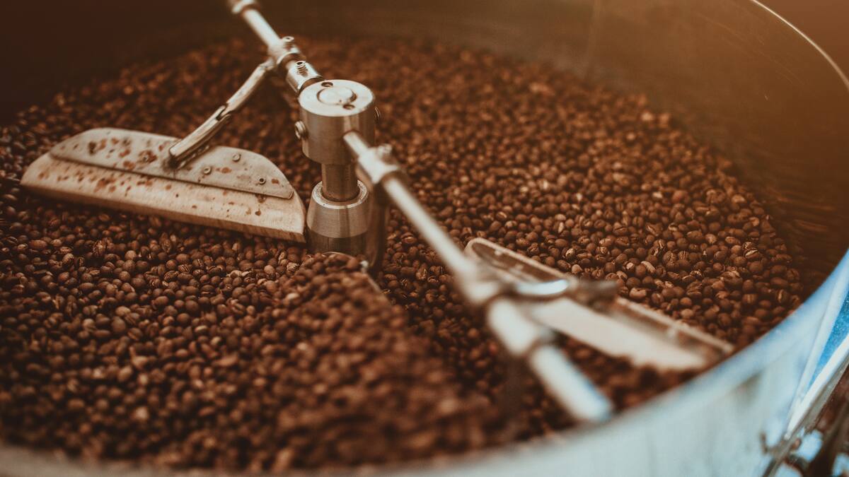 Producción y exportaciones de café cayeron durante 2022