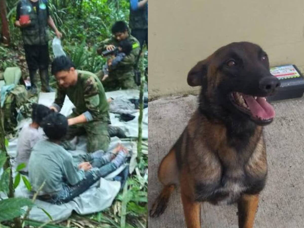 Niños perdidos en Guaviare confirmaron que Wilson estuvo con ellos: general Pedro Sánchez