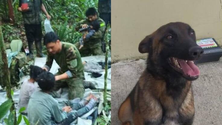 ‘Milagro, milagro, milagro’: así fue la clave y hallazgo de los niños perdidos en Guaviare