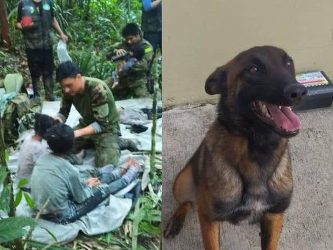 ‘Milagro, milagro, milagro’: así fue la clave y hallazgo de los niños perdidos en Guaviare