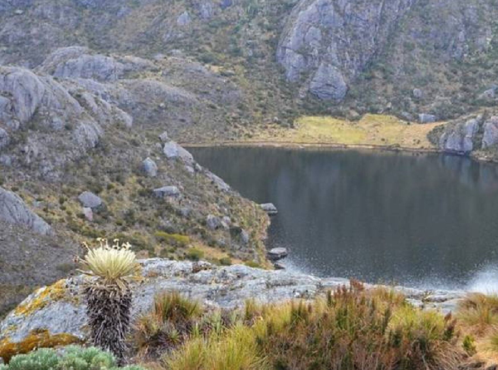 Páramo de Santurbán/ W radio - Melissa Múnera