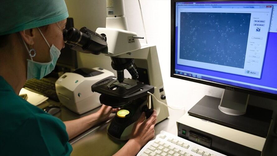 El material particulado que circula en el aire del Valle de Aburrá estaría comprometiendo otros procesos biológicos importantes como la reproducción. Foto: Getty Images