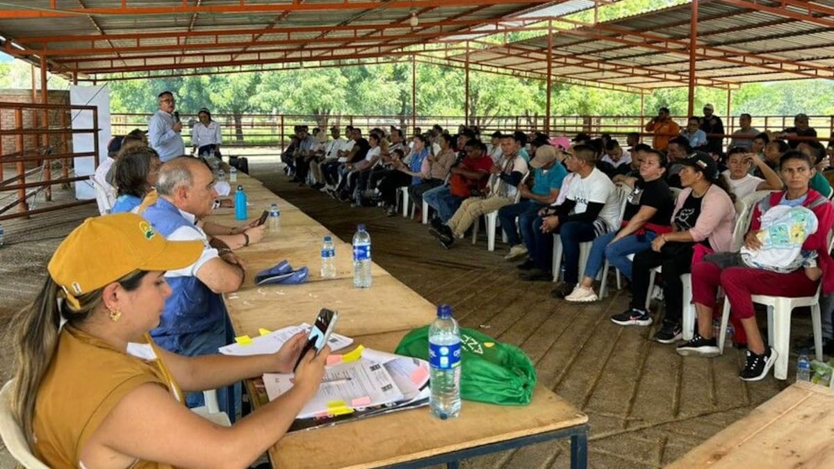 Se entregaron 1.055 hectáreas a firmantes de paz para ETCR en Norte de Santander y Catatumbo