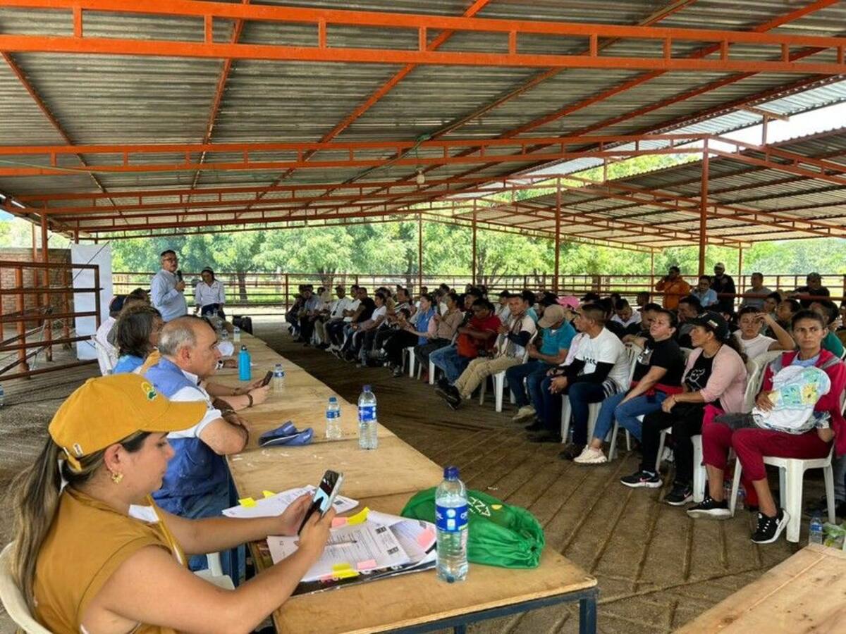 Se entregaron 1.055 hectáreas a firmantes de paz para ETCR en Norte de Santander y Catatumbo