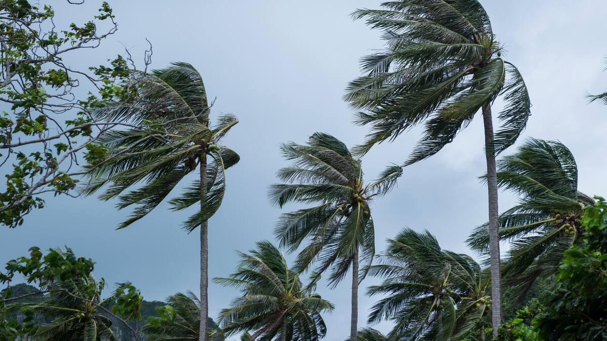 Puerto Rico, Cuba, Haití y República Dominicana, en alerta tras fortalecimiento de tormenta tropical