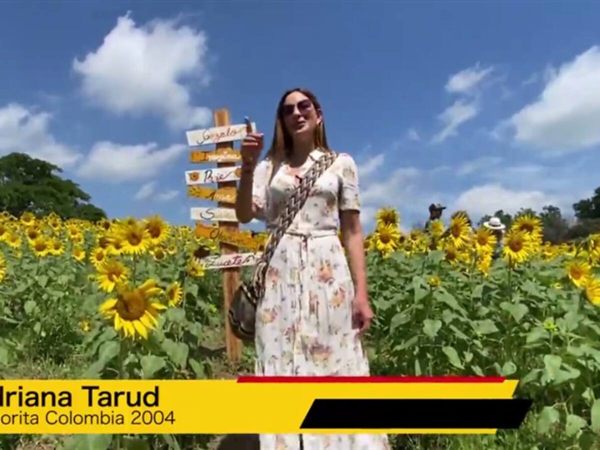 La Ruta del Girasol en el Atlántico