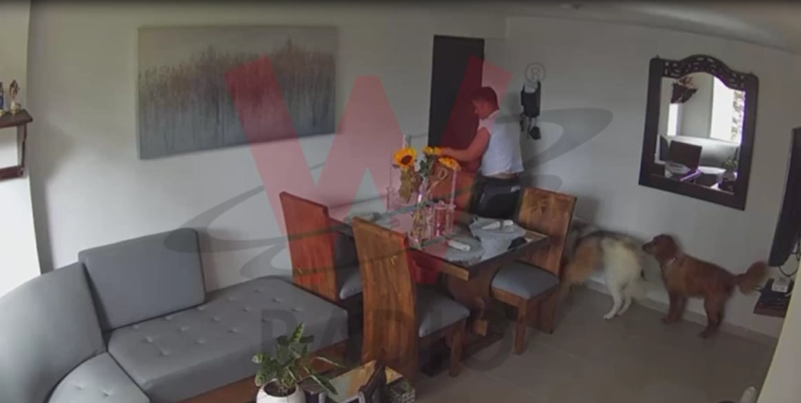 Agresión a capitán del Ejército por parte de su expareja. Foto: Captura de pantalla