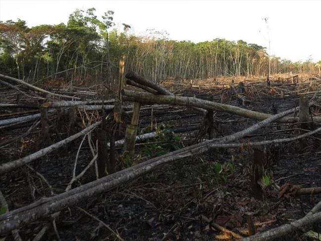 Parque Nacional Natural Tinigua ha perdido 5600 hectáreas de bosque. Foto: Cortesía