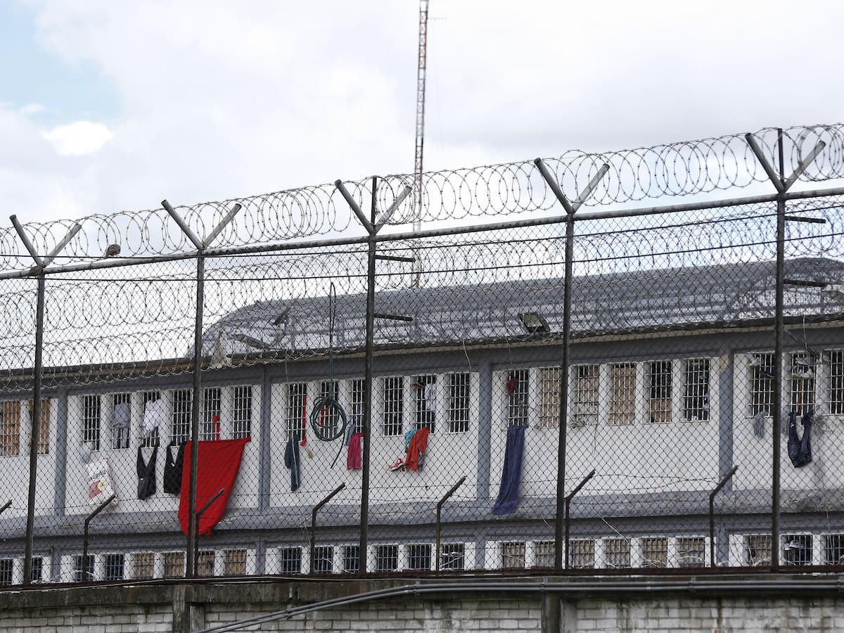 ¿Vigilancia y custodia en cárceles del país debe estar en manos de empresas de seguridad privada?