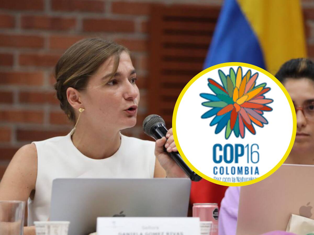 Cali será la ciudad más segura de Colombia durante la COP16: viceministra de Defensa