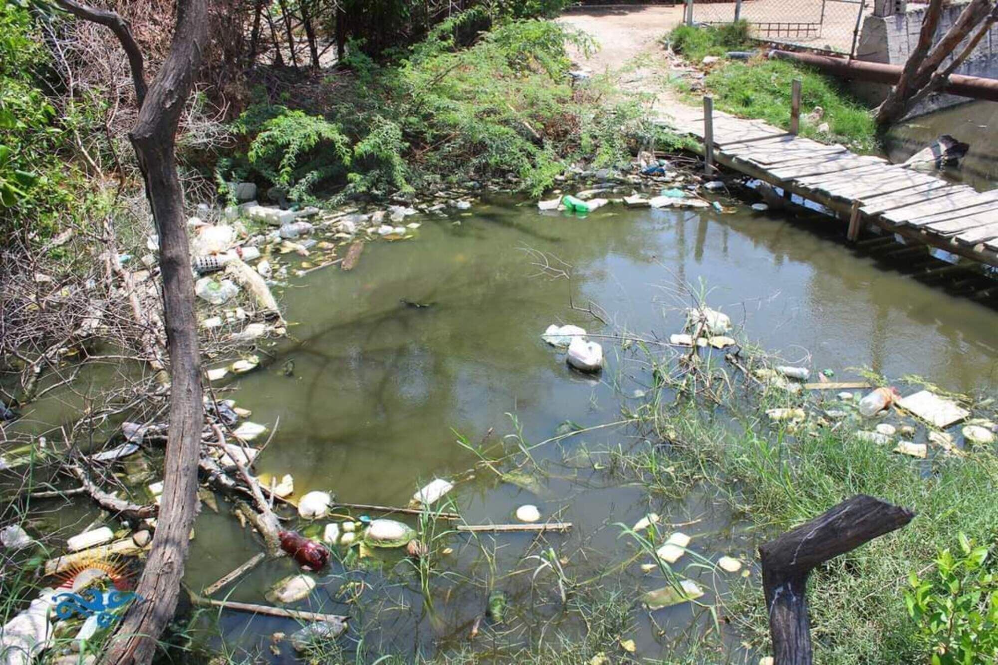 Río Manzanares/Archivo Fundación Salva Tu Río