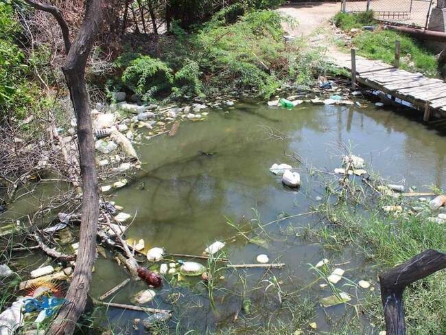 Río Manzanares/Archivo Fundación Salva Tu Río