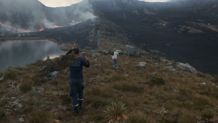 ubo gran afectación en el ecosistema debido a que se quemaron más de 50 hectáreas en el municipio de Concepción. Foto: Bomberos Concepción