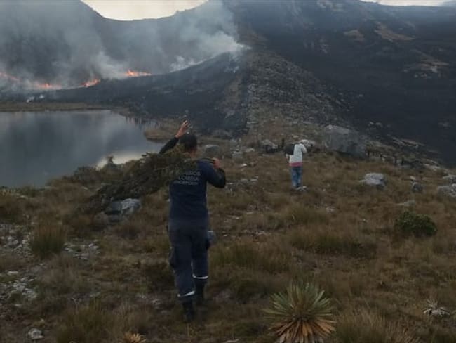 ubo gran afectación en el ecosistema debido a que se quemaron más de 50 hectáreas en el municipio de Concepción. Foto: Bomberos Concepción