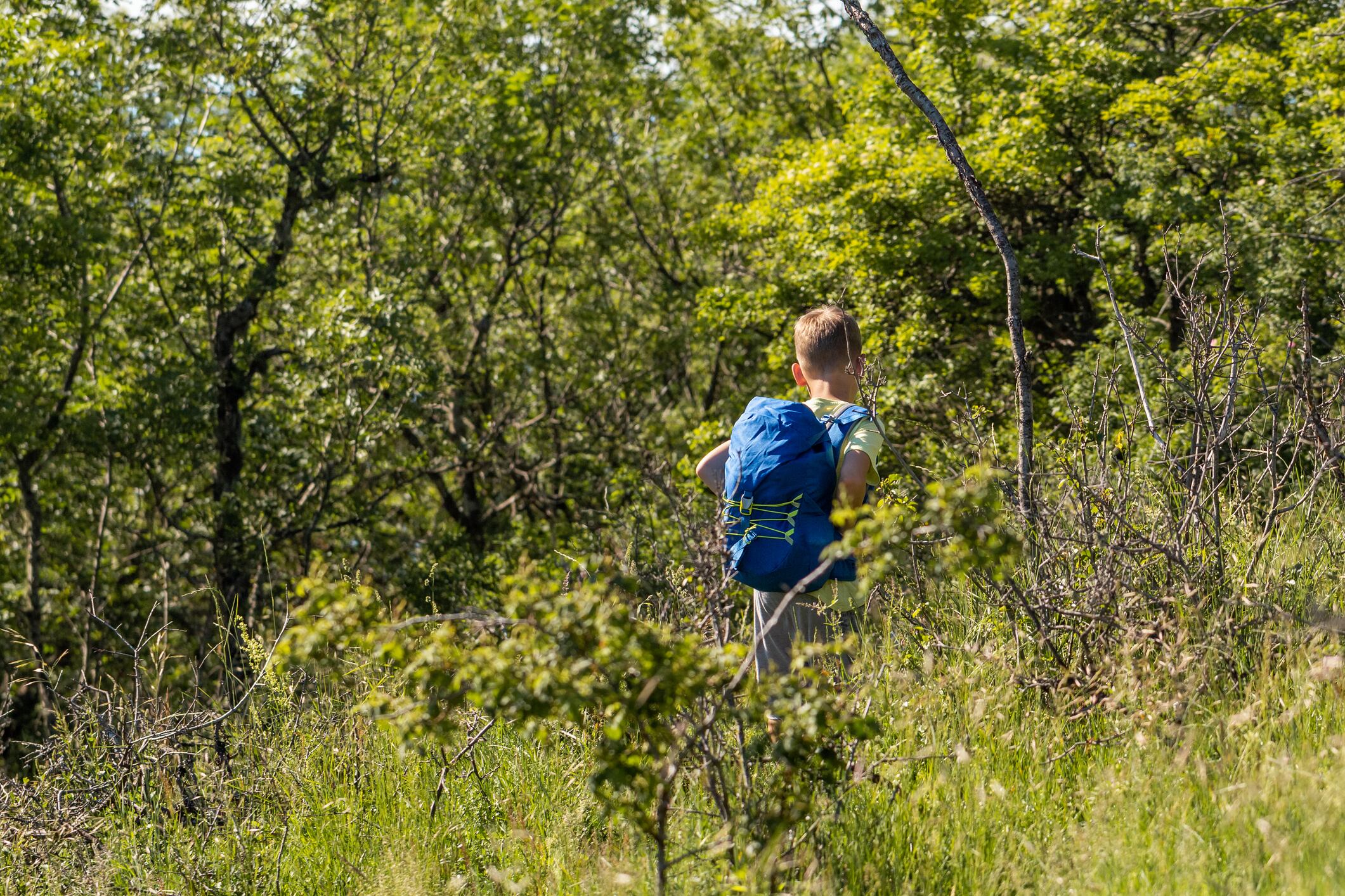 Imagen de referencia. Foto: Getty Images