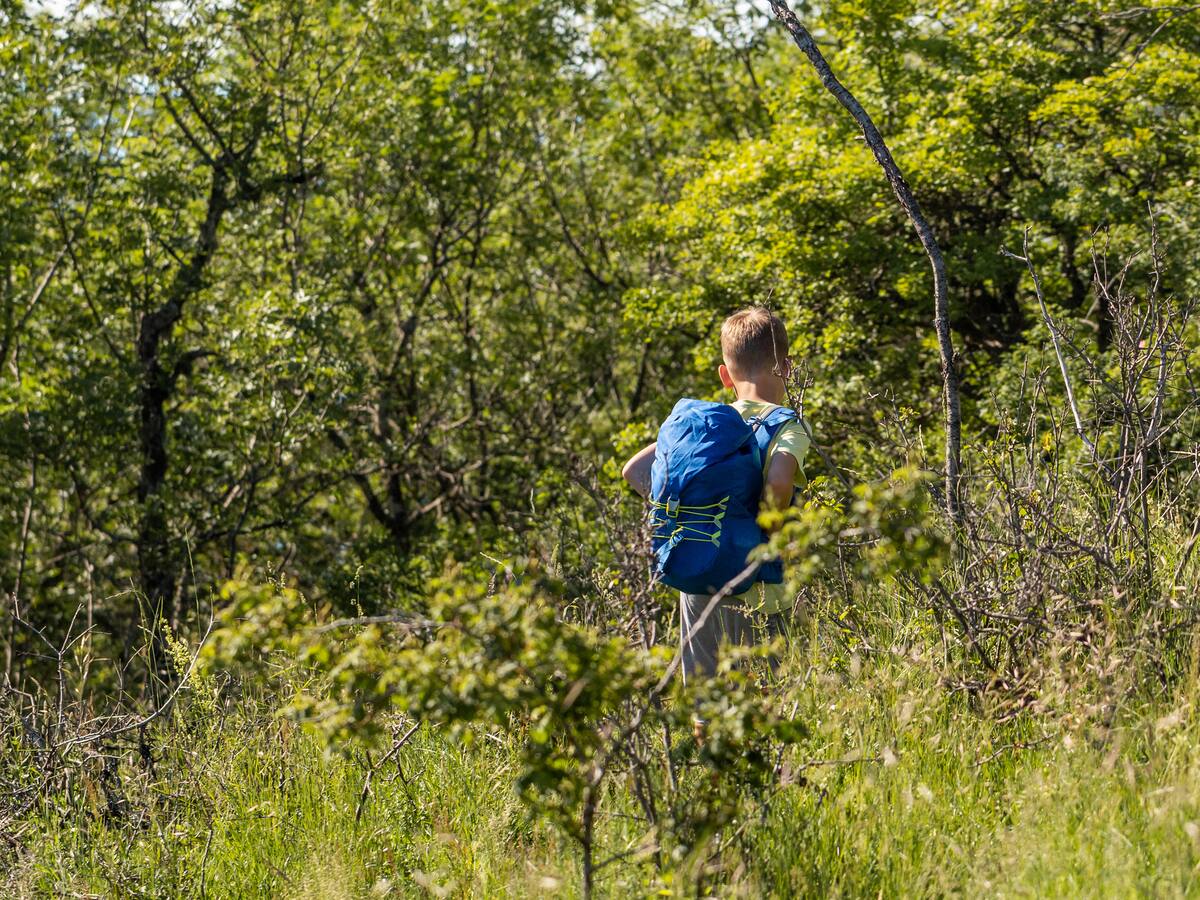 Comunidad en Descanse, Cauca, busca niño de 6 años sobre el afluente que desemboca en el río Caquetá