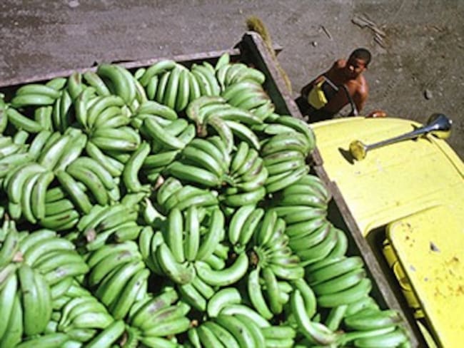 El día en que llovieron plátanos, una crónica de Ernesto McCausland Sojo