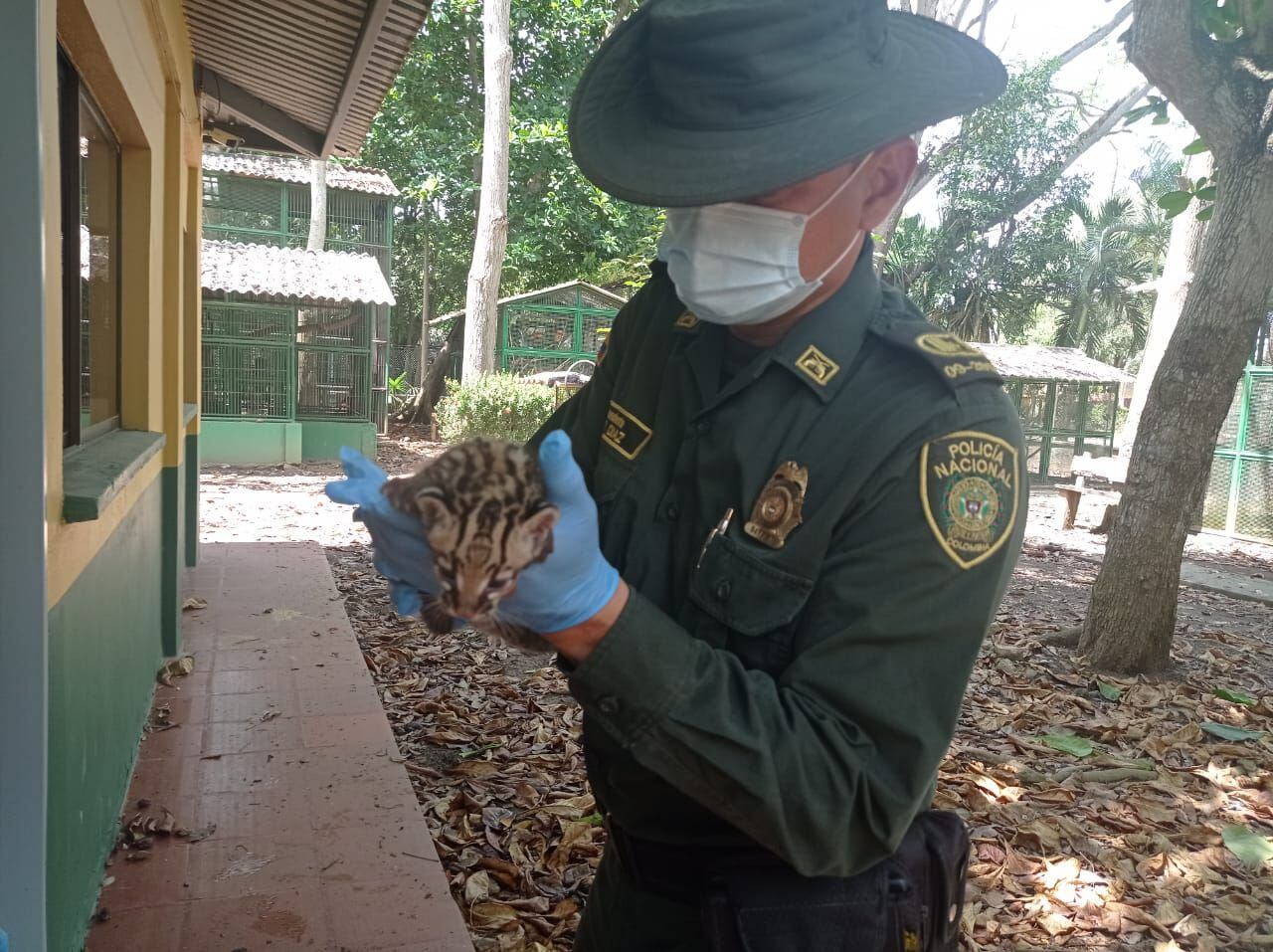 Rescatan animales que eran transportados en morrales en La Apartada. Foto: Policía.