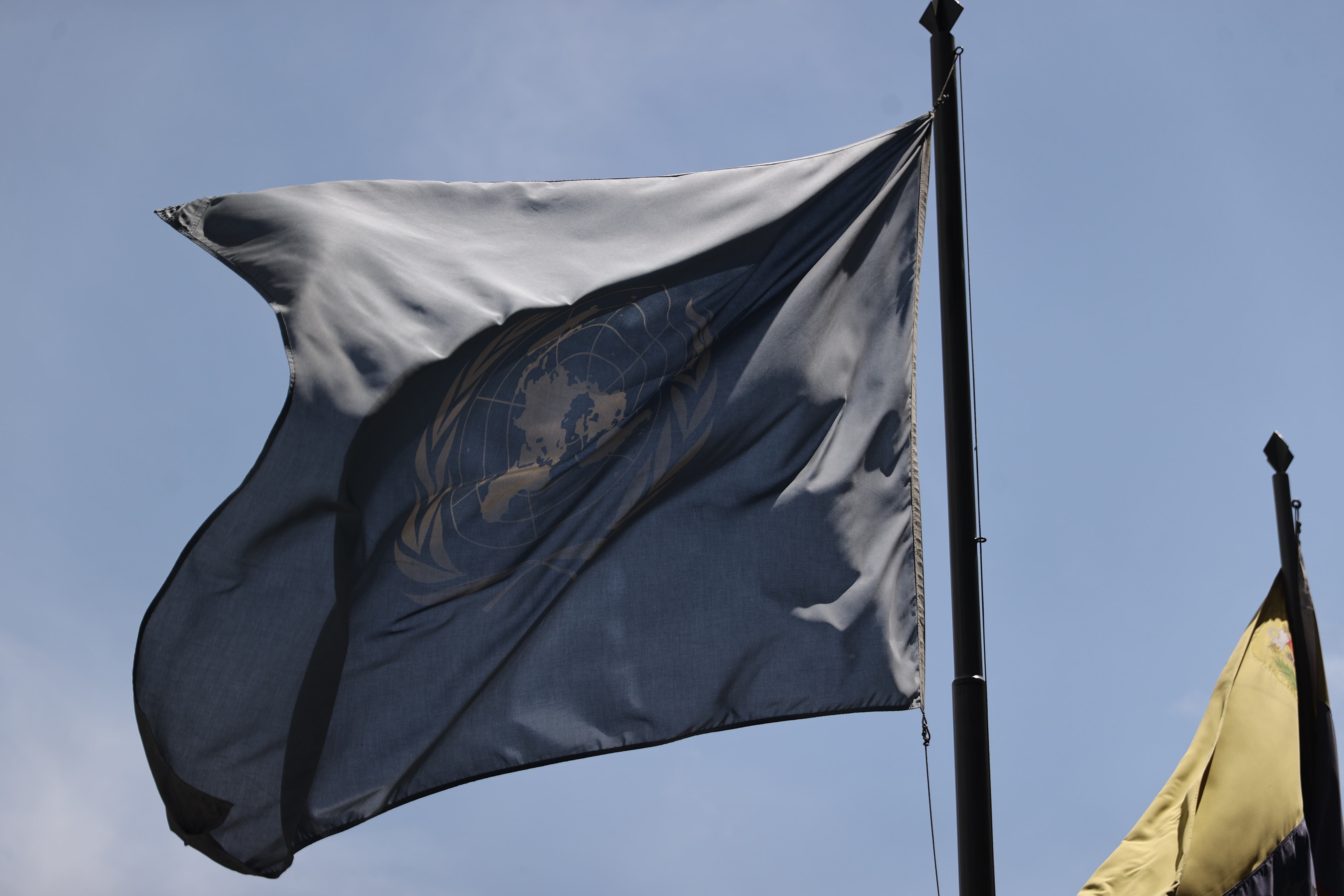 Bandera de la ONU. Foto: Getty Images.
