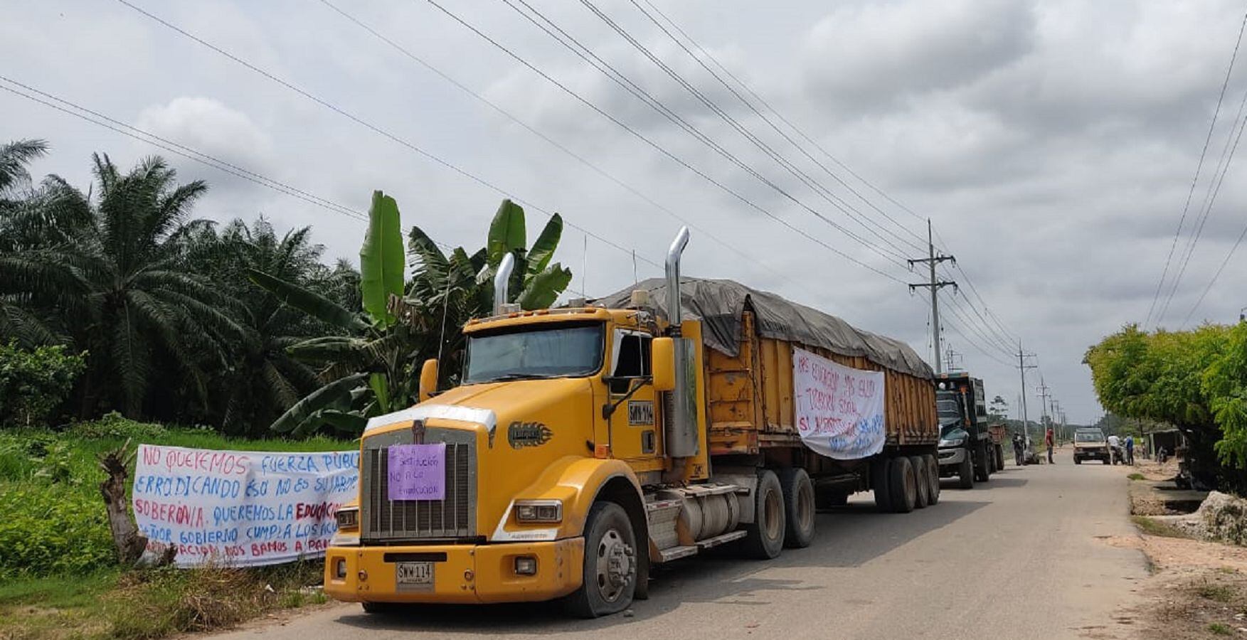 Cultivadores de hoja de coca y amapola bloquean la vía Cúcuta- Tibú- Olger Pérez