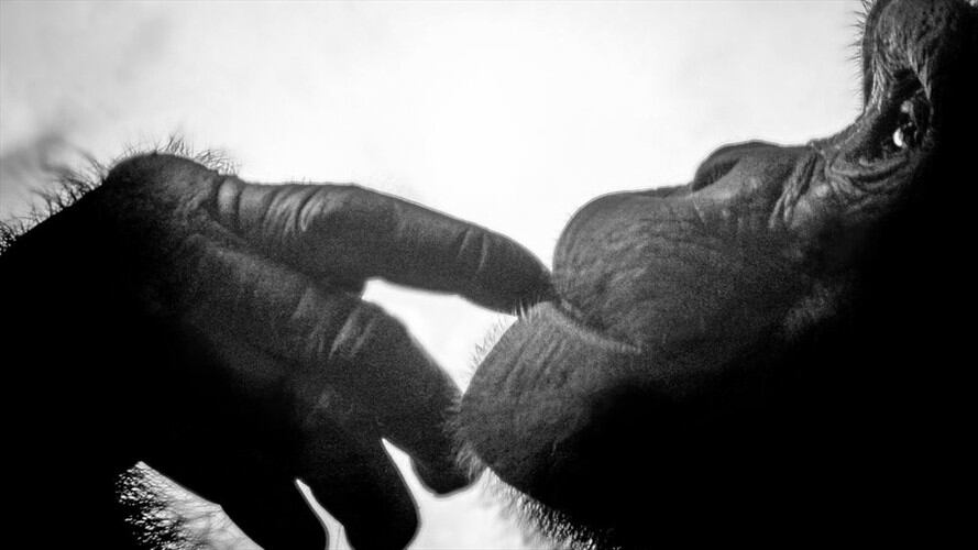 Foto: Getty Images