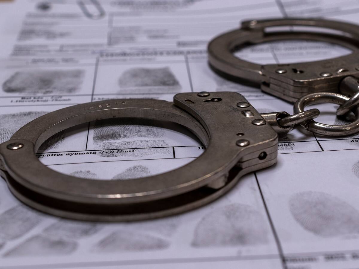 Interpol arrestó a 365 personas implicadas en el tráfico de animales y plantas protegidas