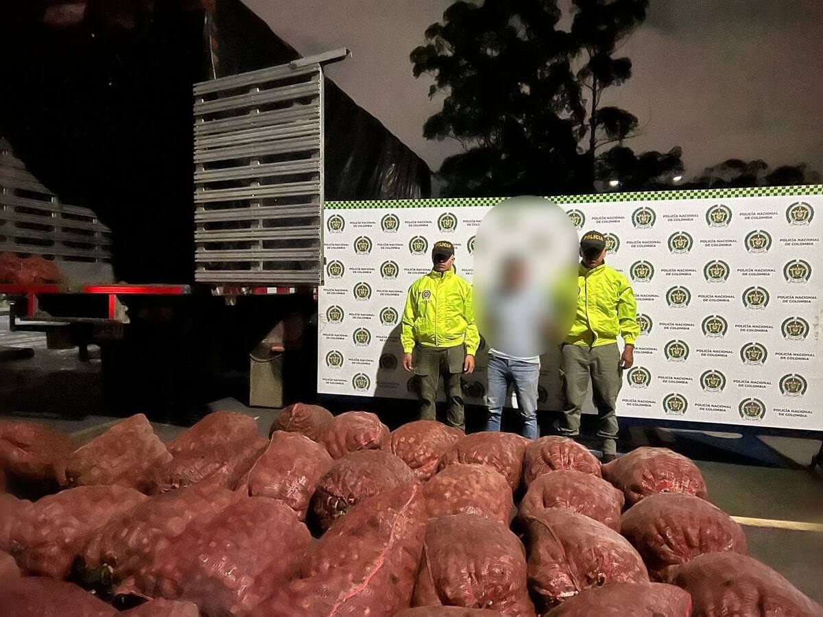 En Cauca cayó cargamento de marihuana de las disidencias que estaba camuflado en bultos de papa