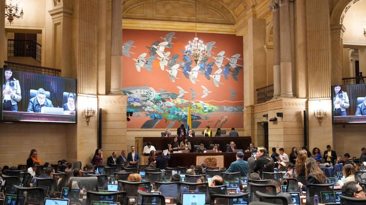 Debate: los artículos de la discordia en la reforma a la salud