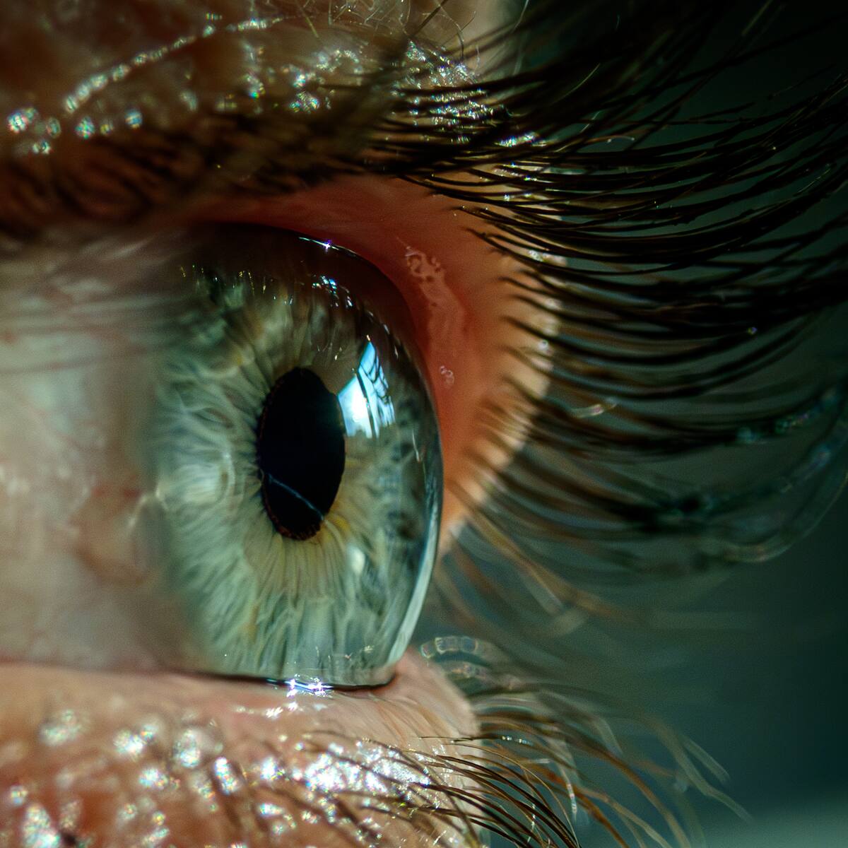 ¿Qué es el yoga ocular y cuáles son sus beneficios?