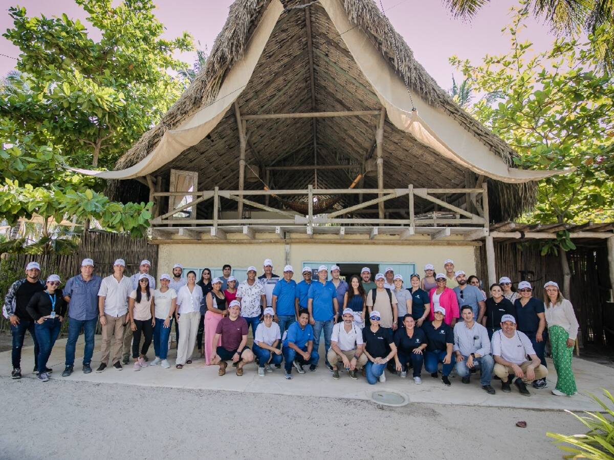 Isla Barú se beneficia con la siembra de mil árboles de mangle
