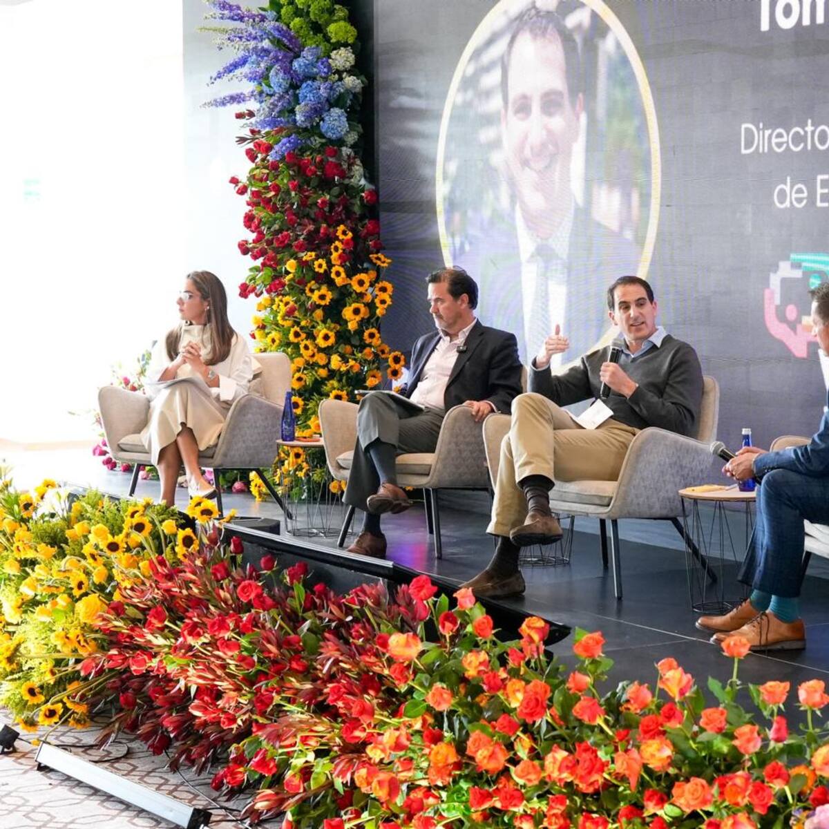 ¿Qué retos enfrentará el país durante el 2025 en materia energética? Expertos responden