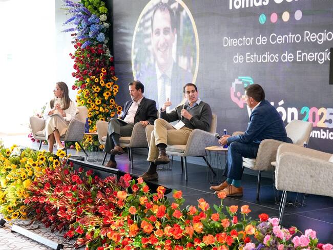 Las deudas acumuladas en el sector eléctrico y la falta de políticas claras podrían disparar las tarifas y comprometer la estabilidad fiscal del país, según los panelistas. | Foto: W Radio