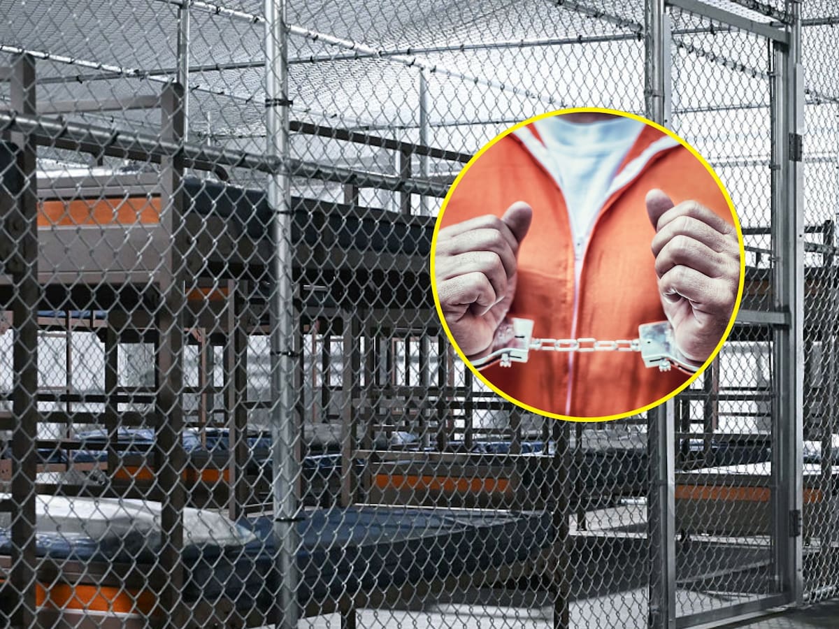 “No hice nada malo, soy una persona de bien”: testimonio de colombiano detenido en Alligator Alcatraz