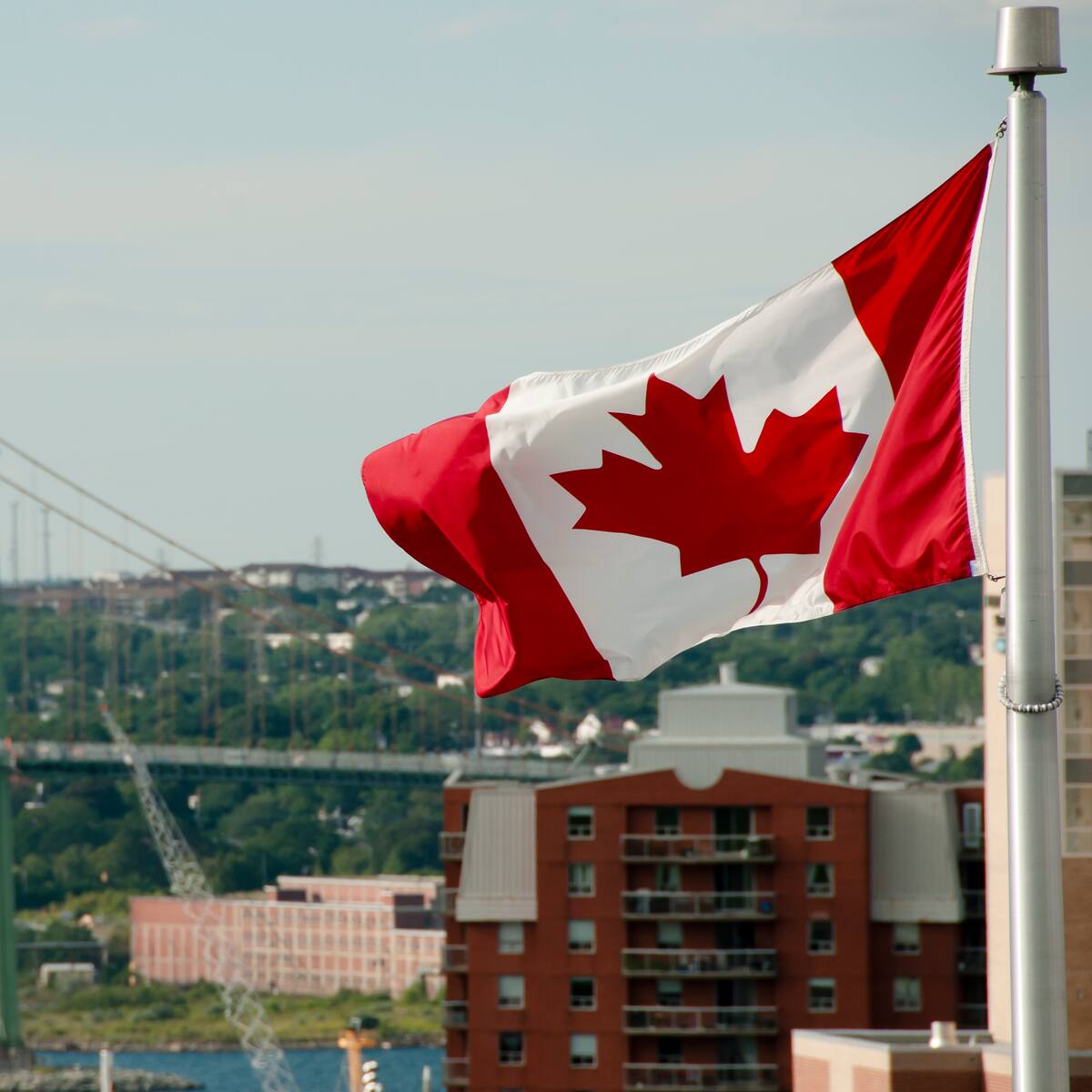 Embajada de Canadá tiene becas para estudiantes colombianos: ¿Quiénes y cómo pueden obtenerlas?
