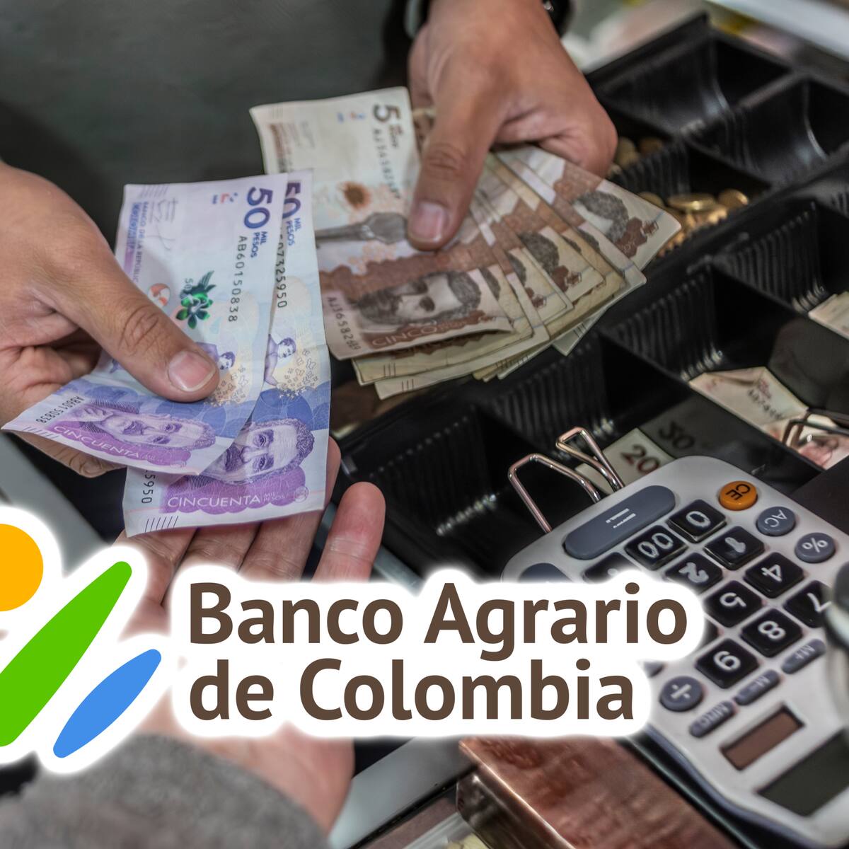 Link oficial del Banco Agrario para consultar pagos en 2025 con número de cédula: Paso a paso