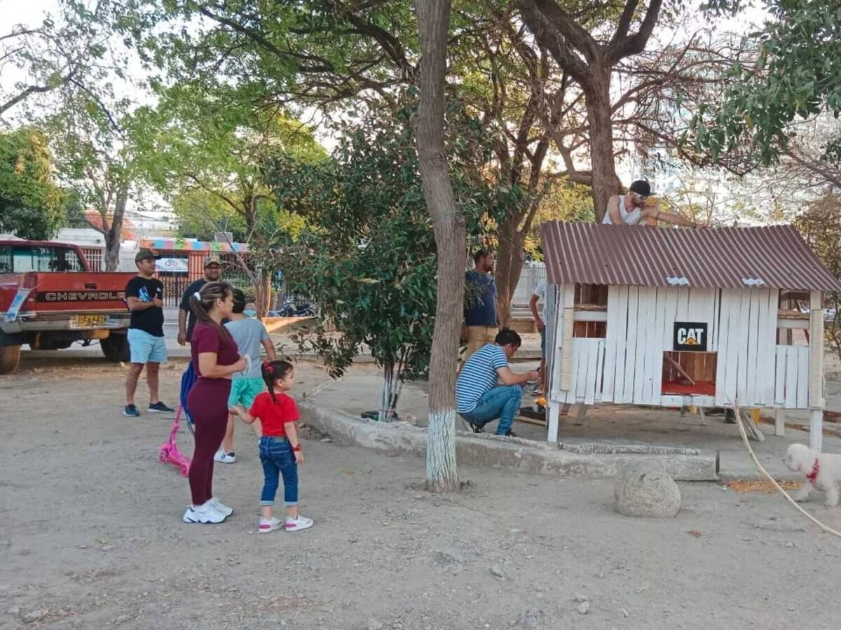 Gatos del Polideportivo en Santa Marta, ya tienen nuevo hogar