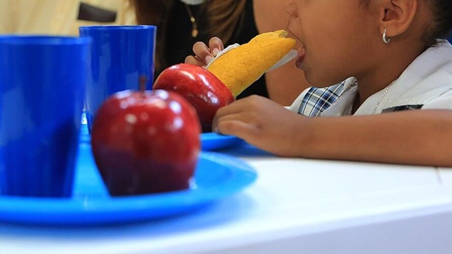 La administración demostró que los operadores eran idóneos y tenían la experiencia en el manejo de dicho programa. Foto: Colprensa