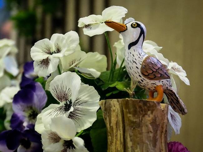 Bahía Solano, en Chocó en uno de los lugares turísticos de Colombia. Foto: Colprensa