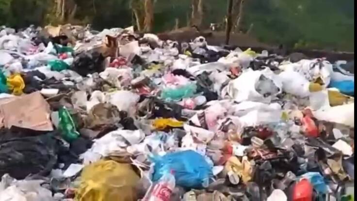 Cinco meses sin recolección de basuras en Palmor corregimiento de Ciénaga, Magdalena