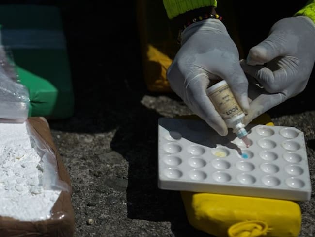 ¿Qué puede hacer Colombia si la demanda de cocaína en el mundo sigue igual?: Toby Muse