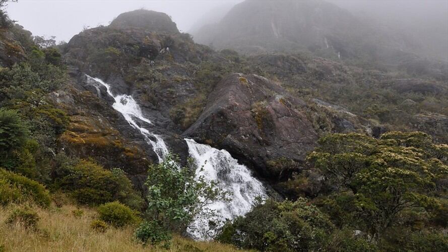 El alto tribunal negó la solicitud de nulidad de la sentencia que establece la delimitación del páramo de Santurbán. Foto: Colprensa