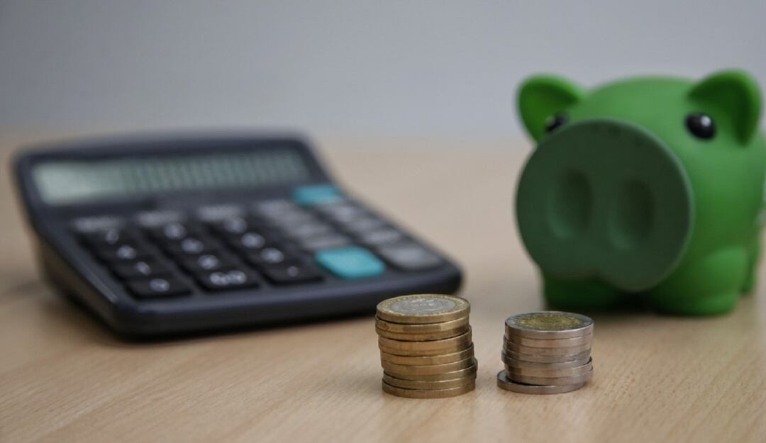 Imagen de referencia.