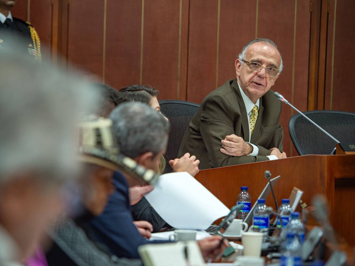 Entre 2018 y 2022 hubo crecimiento de integrantes de grupos armados: MinDefensa