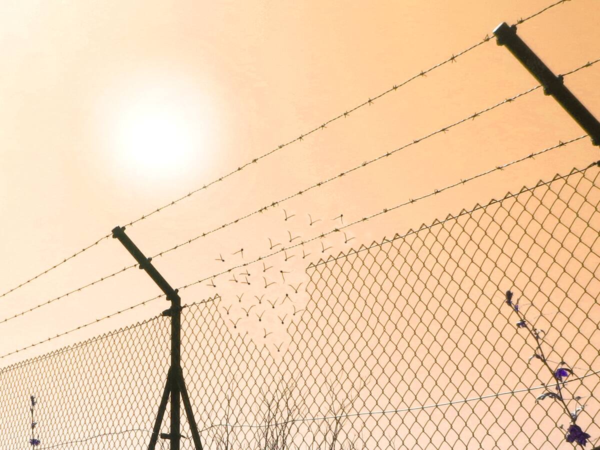 Acusaron a migrantes por ingresar a zona militar restringida en la frontera de Estados Unidos