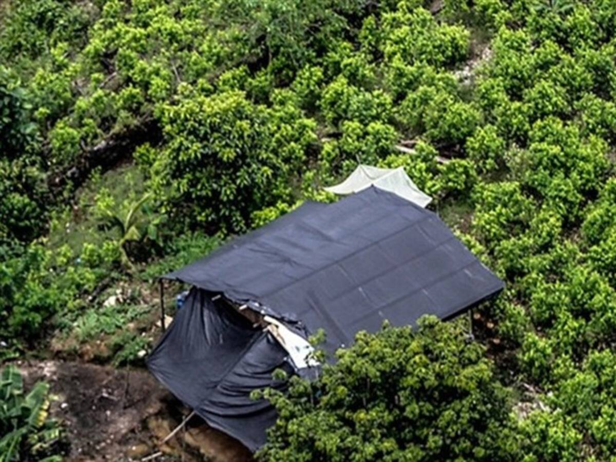 ELN, disidencias de las Farc y narcos amenazan la sustitución de cultivos